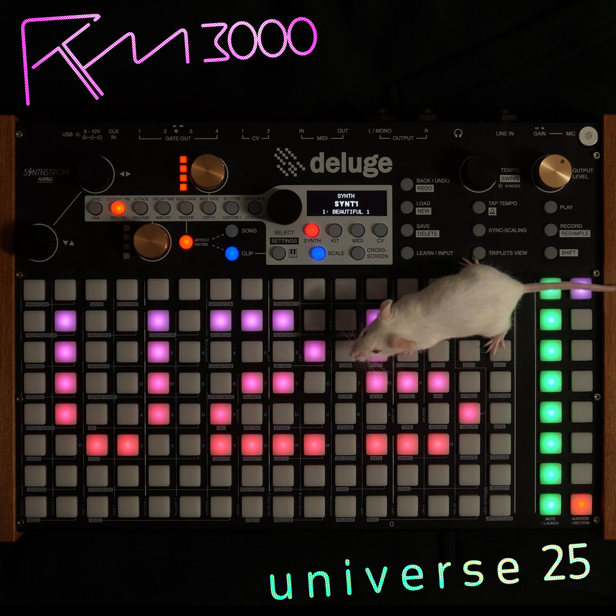 Universe 25